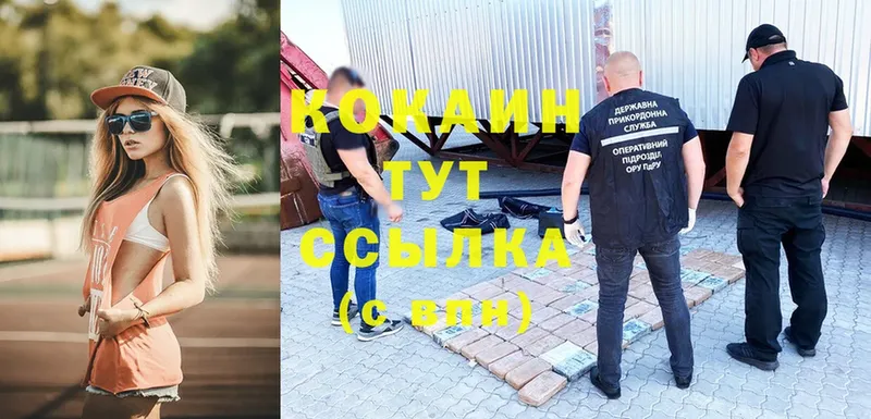 OMG как зайти  как найти закладки  Волосово  КОКАИН VHQ 