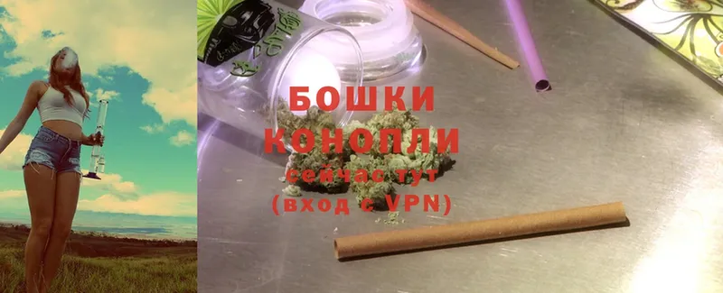 где купить наркоту  Волосово  Бошки Шишки White Widow 